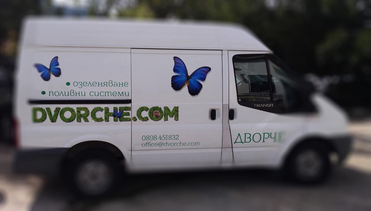 Брандирани бусове с минималистична графика